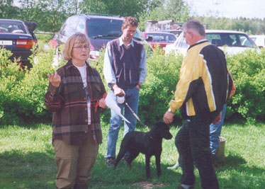 Valptr�ff 2000 ~ Puppy training 2000